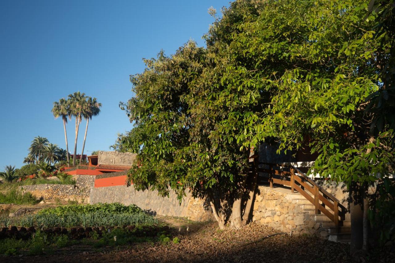 Finca Pico Los Realejos Extérieur photo